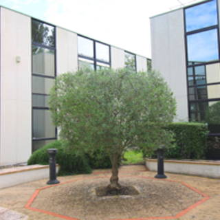 Bureau privé 12 m² 2 postes Location bureau Avenue de l'Europe Ramonville-Saint-Agne 31520 - photo 5